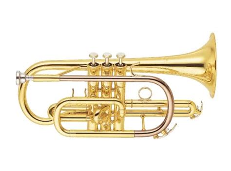 Image result for Cornet Musical Instrument