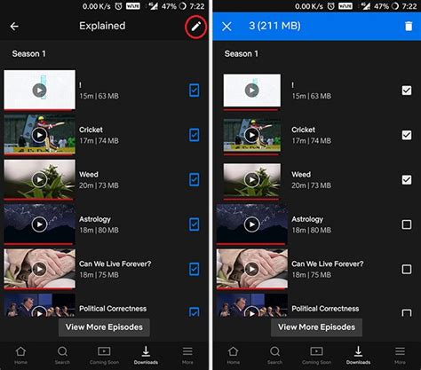 Image result for Netflix Download Tips