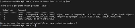 Image result for Steps Upgrade Java Version 2.16 in Linux