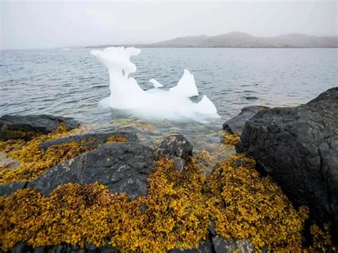 Greenland's ice caps are melting past the tipping point, shows study ...