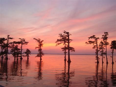 Albemarle Sound - A Tranquil Destination in North Carolina