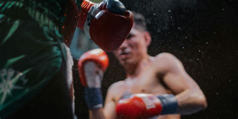 MMA Beginner's Guide 的图像结果