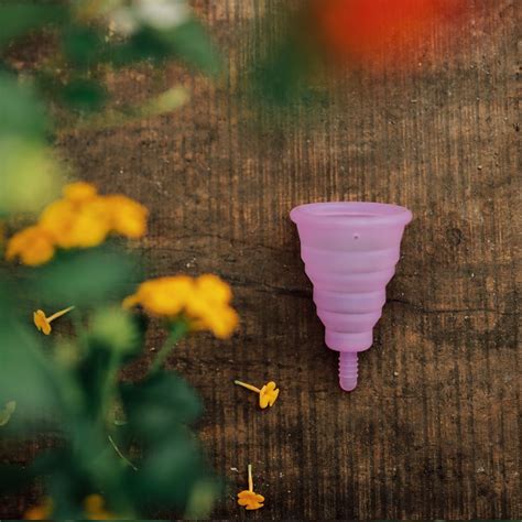 Menstrual Cup – Femisafe.in
