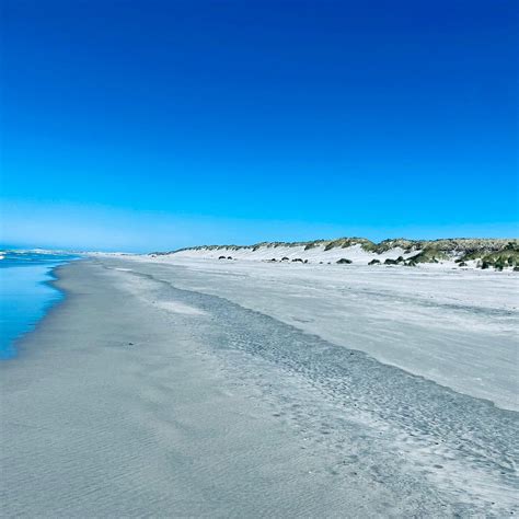 FAREWELL SPIT AND PUPONGA FARM PARK TRACKS - All You Need to Know ...