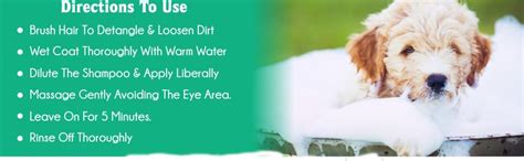 Buy WILDWASH Dog Shampoo for Deep Cleaning and Deodorising, 300ml ...