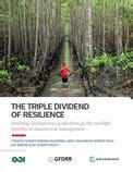 The triple dividend of resilience: realising development goals through ...