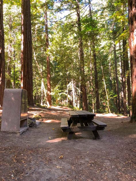 Are Dogs Allowed At Sanborn County Park