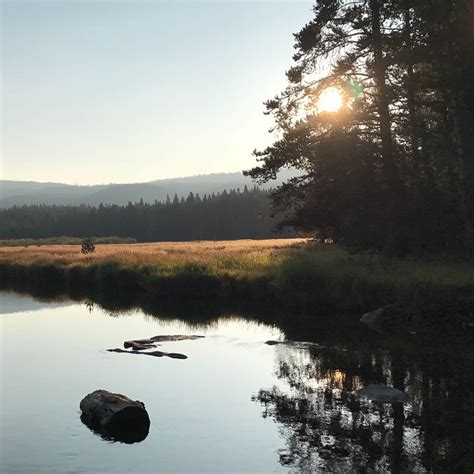 Island Park Campground Camping | The Dyrt