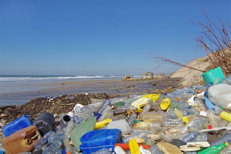 Polluting 的图像结果