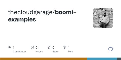 Image result for Custom Script in Boomi in JavaScript