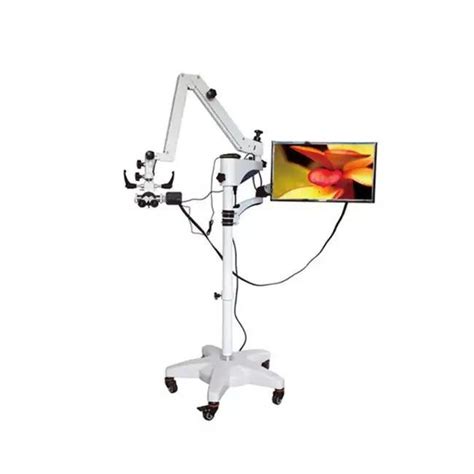 Medical Microscope 的图像结果