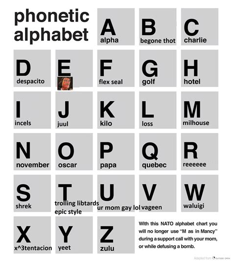 Use the NATO phonetic alphabet when spelling : r/dankmemes