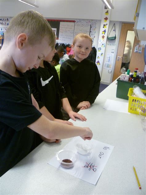 Primary Science 的图像结果