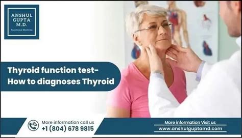 Thyroid Function Test Explained 的图像结果