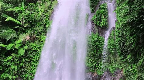 ROSEVIC EXECUTIVE LODGING HOUSE (Naval) - Guesthouse Reviews & Photos ...