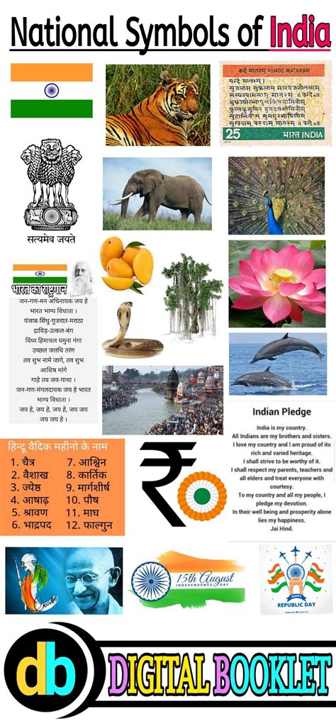 National symbols of india part 2 – Artofit