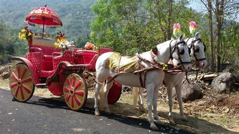 Golden Horse Chariot Rent For Wedding - Wedding Planner In Chennai ...