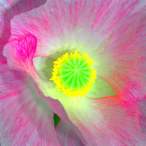 Image result for Color Sample Isolation