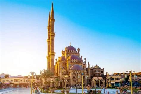 Selection of ‘Conference of the Parties’ to the United Nations ...