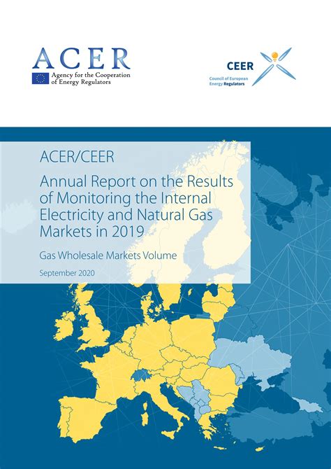 欧洲能源监管机构合作局、欧洲能源监管机构理事会：2019年度全球电力和天然气市场监测结果年度报告_报告-报告厅