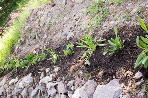 Puutarhailut 2014 – Osa 5: Lisää säätöä puutarhassa (Parkkipaikan ...