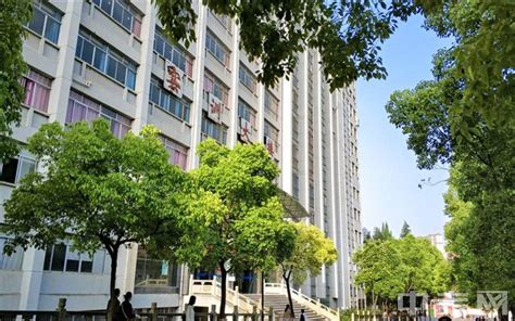宜春职业技术学院在贵州高考专业招生计划2023(人数+代码)