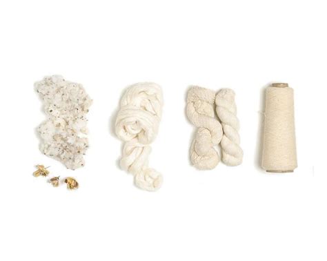 White Gold: The Story of Cotton in India | 11.11