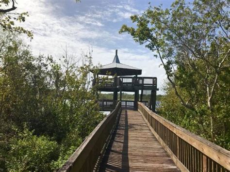 Great Quiet Florida 'Woods' Walk - Reviews, Photos - Sawgrass Lake Park ...
