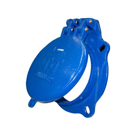 Image result for Spring Operated Flap Valve