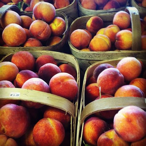 Wholesale Georgia Peaches at Francis Walter blog