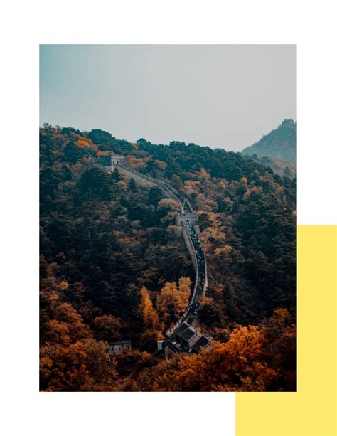 Nature Magazine 的图像结果