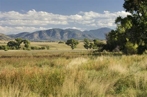Southwest Grasslands – Arizona Conservation Science