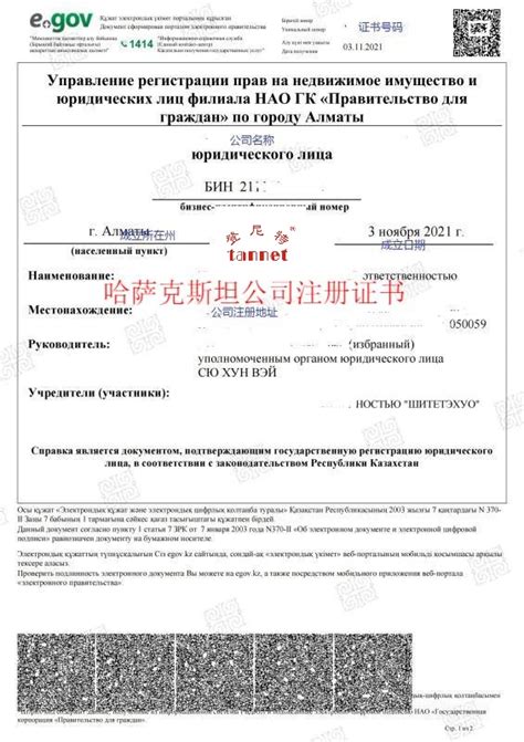 哈萨克斯坦公司注册指南：包含哈萨克斯坦注册证书 - 哔哩哔哩