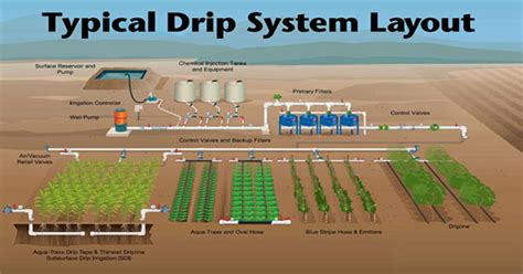 Types of Drip Irrigation | Components of Drip Irrigation | Benefits and ...