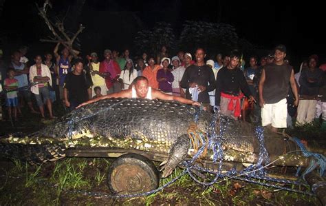 Pictures: Biggest Crocodile Ever Caught? | National Geographic