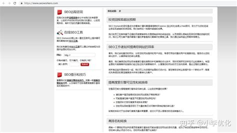 完整且详细的网站seo诊断分析要点--中国SEO网