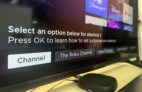 Roku Remote Button Guide 的图像结果