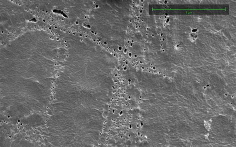 Imaging Signal Resolution for Sem 的图像结果