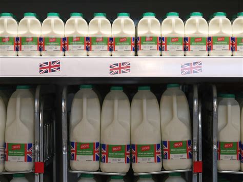 Aldi and Lidl follow Tesco in slashing milk prices as costs fall | The Independent