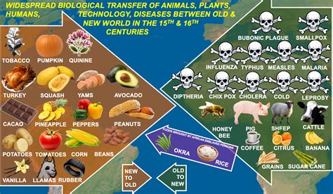 Columbian Exchange Food