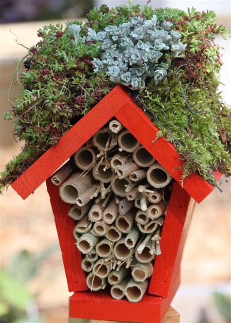 Make a Lady Bug Hotel | HGTV