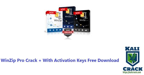 Image result for WinZip 25 Activation Code