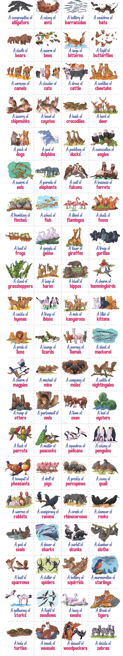 Discover the Fascinating World of Collective Nouns for Animals ...