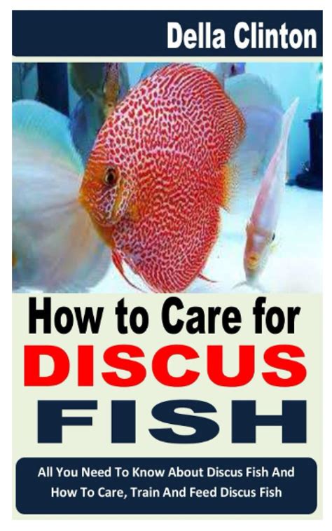 Buy HOW TO CARE FOR DISCUS FISH: All You Need To Know About Discus Fish ...