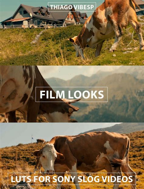 Log Luts 的图像结果