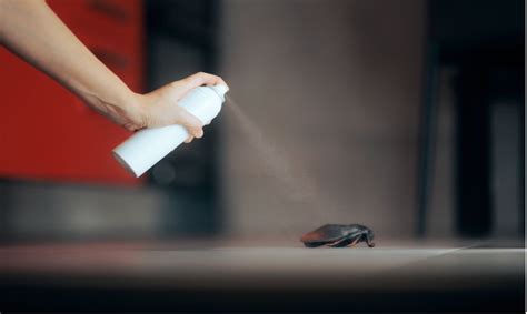 How to Kill Cockroach 的图像结果