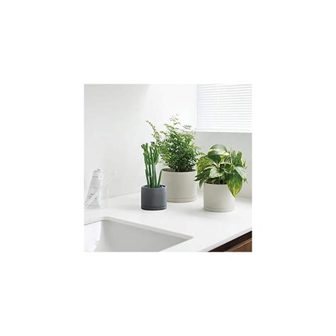 Buy Earth Gray Plant Pot - 5 Inch Online at Lowest Price in India ...
