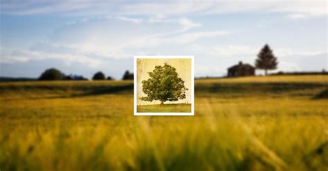 Obituary | John D. Marshall | McColaugh Massie Funeral Home