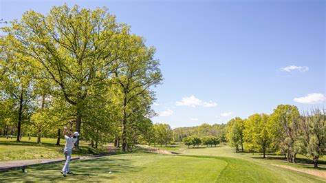 Boys Golf: Drogin leads Newark Academy, St. Joseph (Mont.) also wins in ...