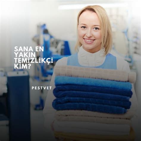 PESTVET TEMİZLİK ŞİRKETİ | TEMİZLİK ŞİRKETLERİ | EV TEMİZLİĞİ |OFİS ...